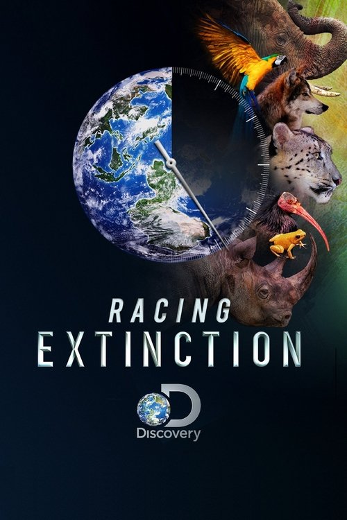 Racing Extinction movie poster player