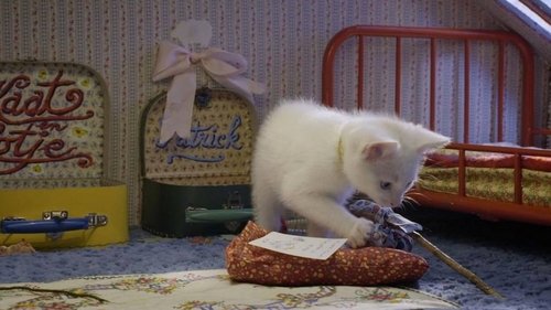 Image de l'épisode 6