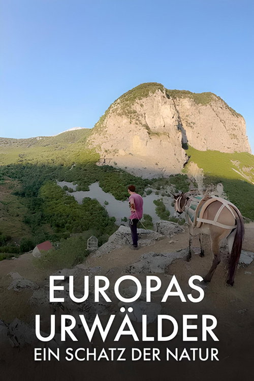 Poster for Europe's primeval forests, a treasure of nature