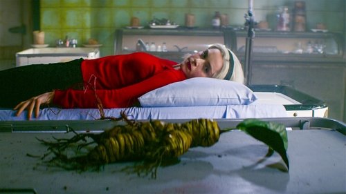 Chilling Adventures of Sabrina: 1×19