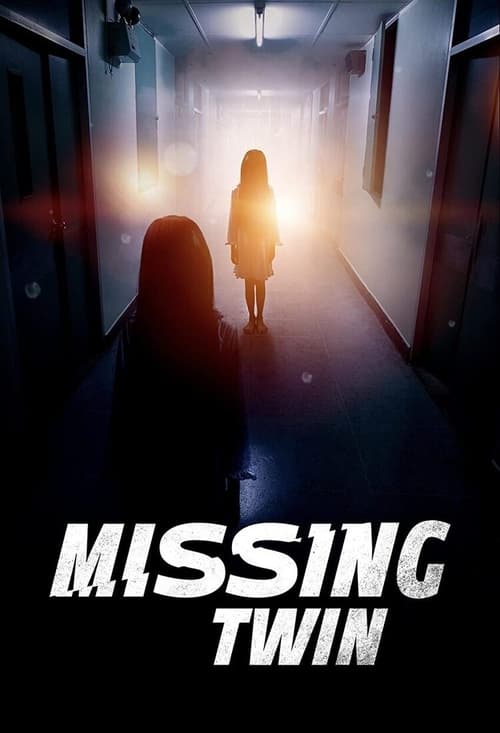 Missing Twin poster