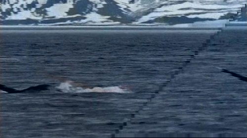 Image de l'épisode 10