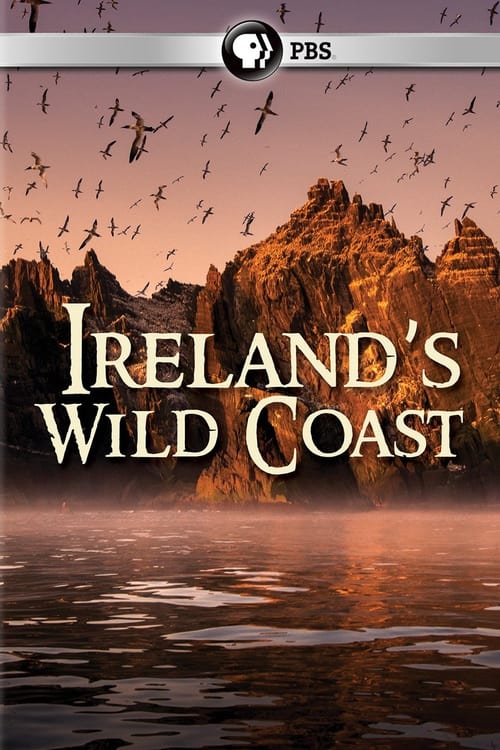 Poster Ireland's Wild Coast