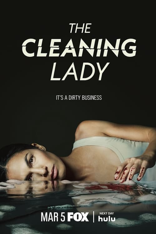 Where to stream The Cleaning Lady Season 3