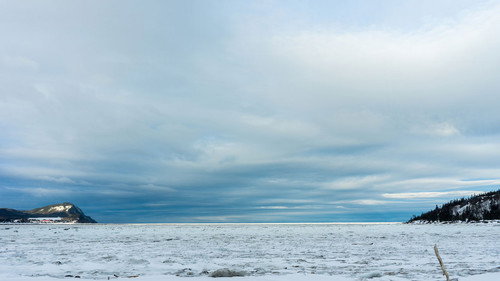 Floes Backdrop Blur