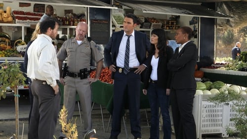 The Mentalist: 3×8