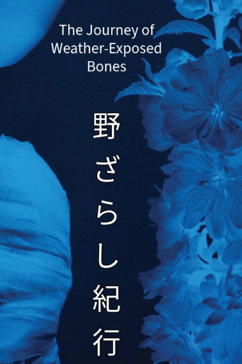 The Journey of Weather-Exposed Bones