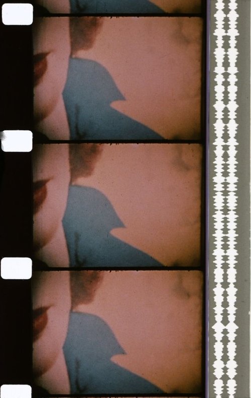Dernier rôle movie poster player