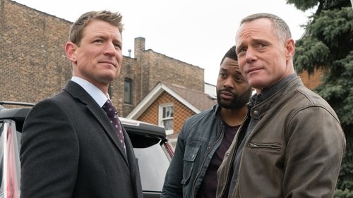 Chicago P.D. Distrito 21: 3×21