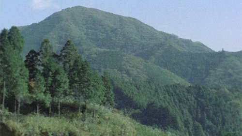 Image de l'épisode 20