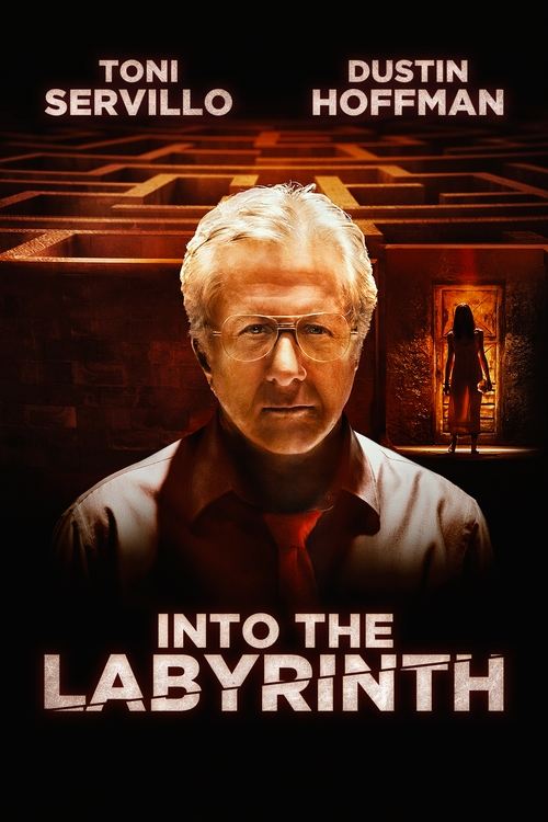 Into the Labyrinth poster
