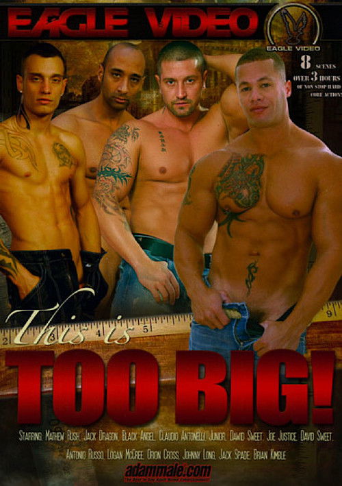 Affiche du film This is Too Big