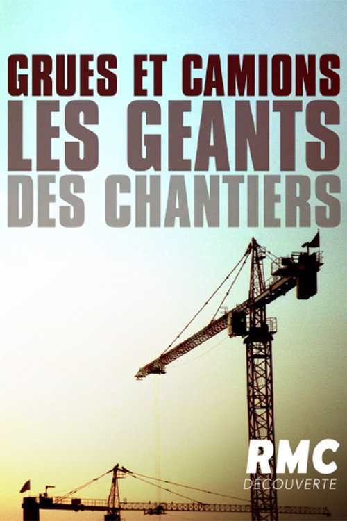 Grues et camions : les géants des chantiers