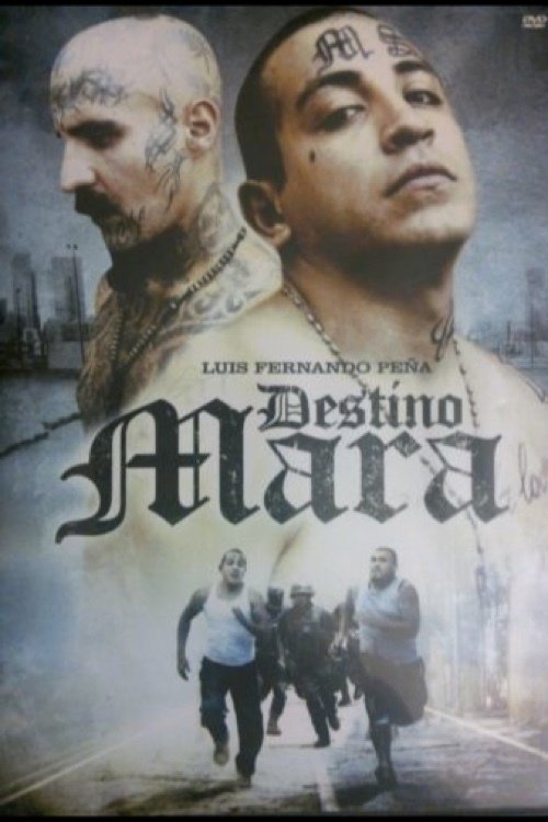 Destino Mara poster