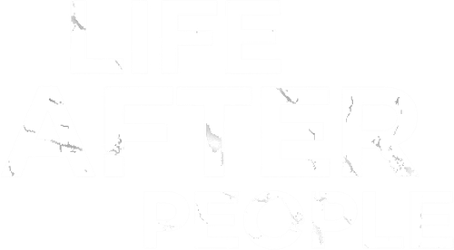 Life After People