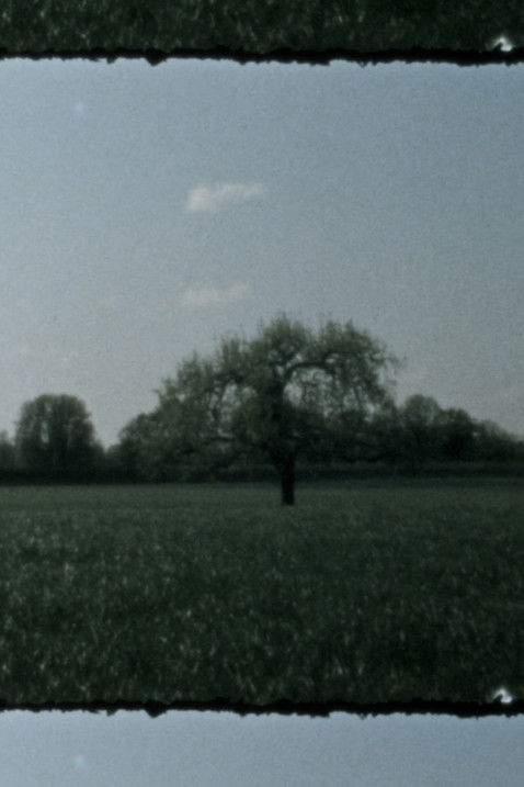 Landscape as Landscape 3