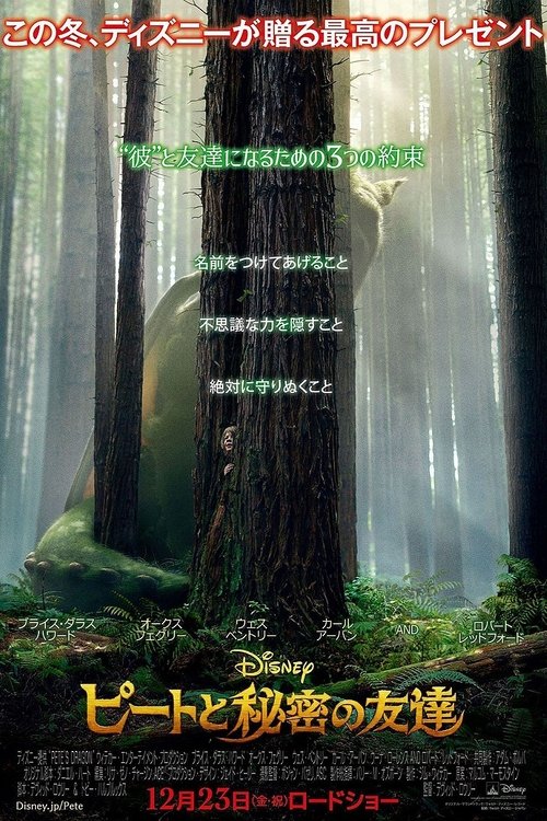 Posters