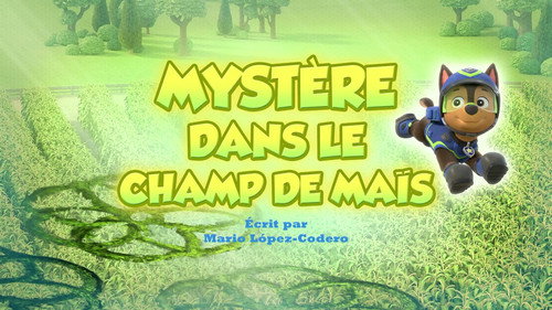 Mystère dans le champ de maïs
