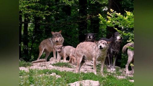 Image de l'épisode 6