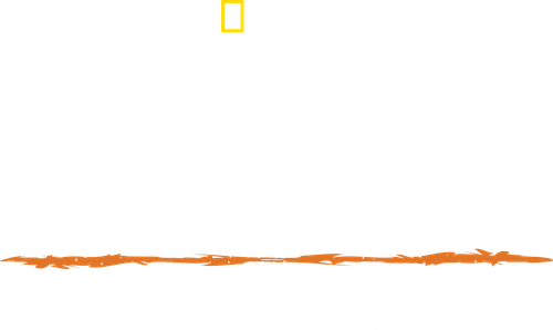 Primal Survivor: Over the Andes