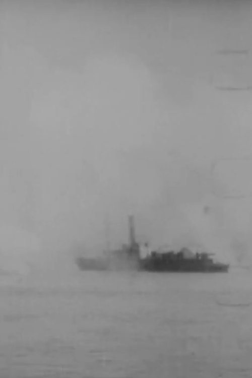 Bombardment of Port Arthur