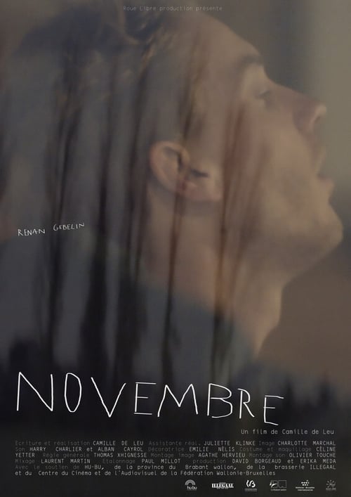 Poster Novembre 2020