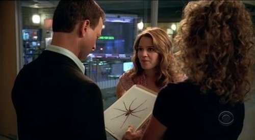 CSI: Nova York / CSI Nova York Episódio 1