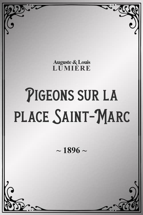 Pigeons sur la place Saint-Marc