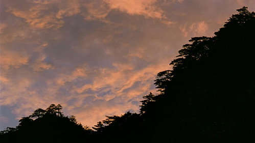 Why Has Bodhi-Dharma Left for the East?