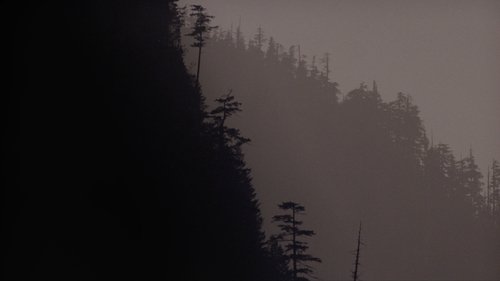 Backdrops