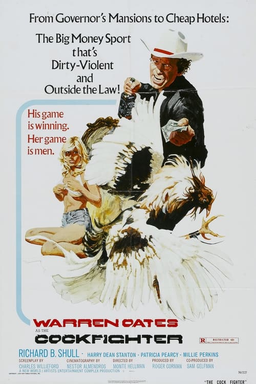 Cockfighter (1974) poster