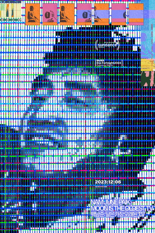 Nam June Paik: Moon Is the Oldest TV poster