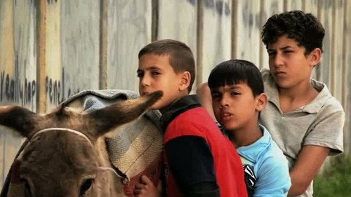 A Boy, A Wall, and A Donkey