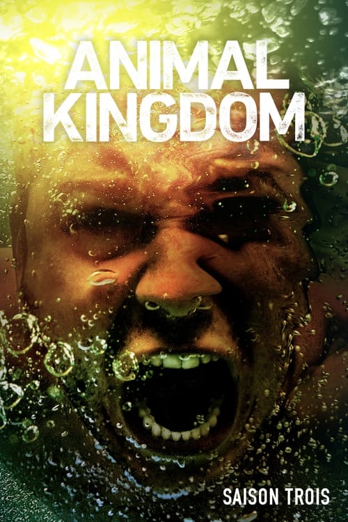 Animal Kingdom - Saison 3