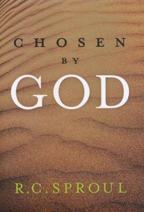 Affiche de Chosen by God
