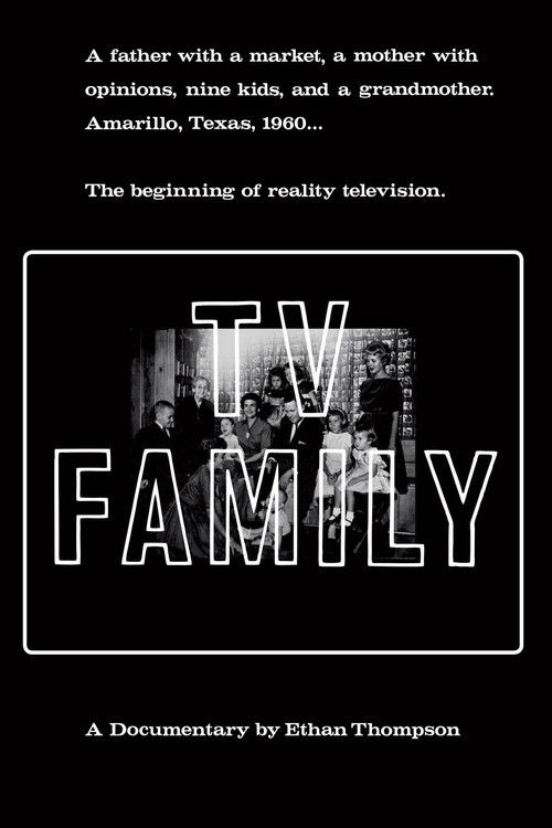 TV Family poster