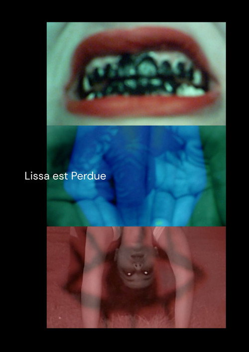 Lissa Est Perdue poster