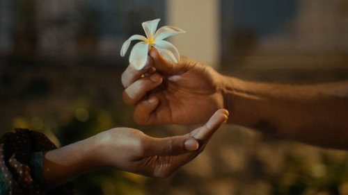 Frangipani: The Short Film