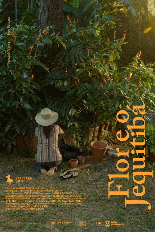Flor e o Jequitibá