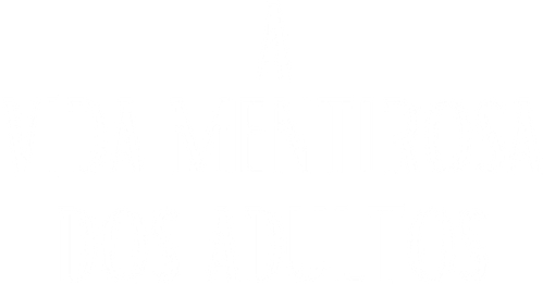 A Vida Mentirosa dos Adultos