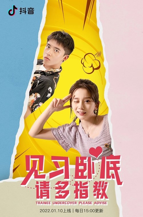 见习卧底,请多指教