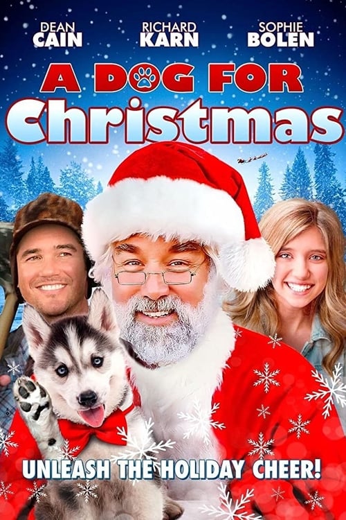 Poster do filme A Dog for Christmas