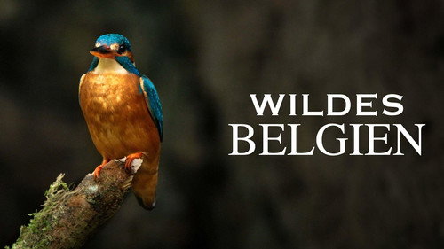 Wildes Belgien - Season 1 Backdrop Blur