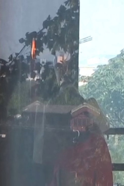 Afternoon in Jiming Temple