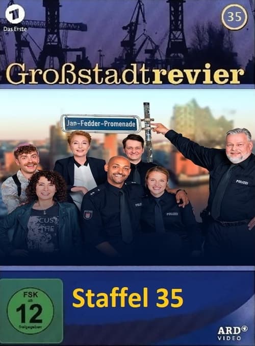 Where to stream Großstadtrevier Season 35