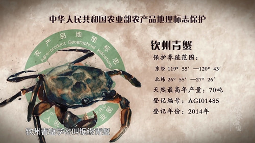 源味中国 Backdrop Blur