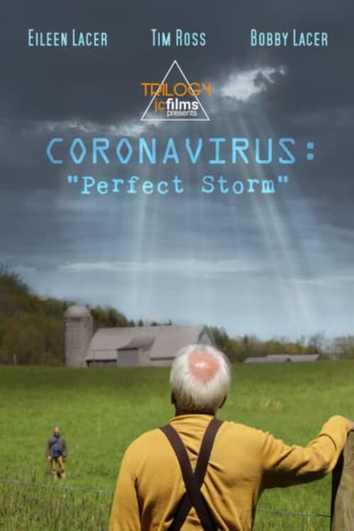 Coronavirus: Perfect Storm (2020) poster