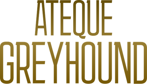 Greyhound Attack