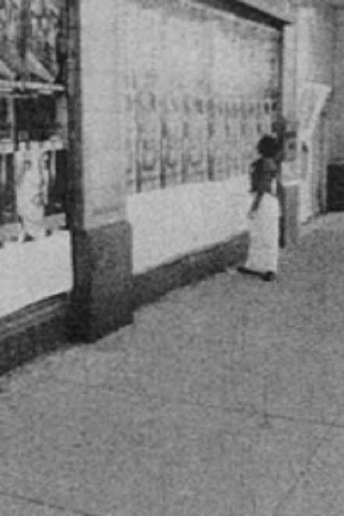 Antonym Play (2002) poster