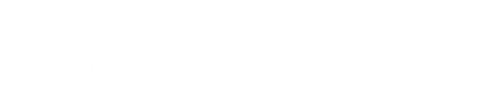 The White Princess - Logo 5